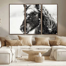 Framed Black and White Horse Wall Art | Ready to Hang and by MyGreatCanvas | Canvas Wall Art Prints | Photo Prints & Wall Decor