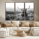 Scottish Highland Cow Wall Art | Black and White Canvas