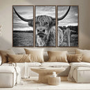 Scottish Highland Cow Wall Art Canvas Print | Ready to Hang
