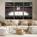 Honda Center California Anaheim Ducks Ice Hockey Stadium