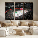 Vaudoise Lausanne Ice Hockey Arena Stadium Wall Art Canvas,