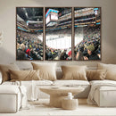 Xcel Energy Center St Paul Minnesota Wild Ice Hockey Stadium