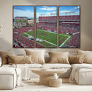 Florida Tampa Raymond James Stadium Wall Art Canvas Print -