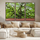 Framed Angel Oak Tree Wall Art - 3-Panel Canvas Prints,