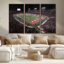 Houston Cougars Football Team Print - Houston TDECU Stadium
