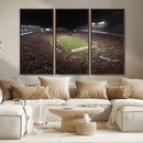 Wisconsin Badgers Football Team Print - Madison Camp Randall