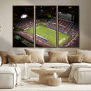 Florida Atlantic University Owls Canvas Print, Football Team by MyGreatCanvas | Canvas Wall Art Prints | Photo Prints & Wall Decor