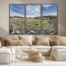University of Charlotte 49ers Football Team Print - by MyGreatCanvas | Canvas Wall Art Prints | Photo Prints & Wall Decor