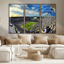 Framed USF Bulls Football Team Print - Tampa Raymond James by MyGreatCanvas | Canvas Wall Art Prints | Photo Prints & Wall Decor