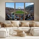 Michigan State Spartans Football Team Art Print - East