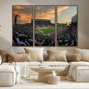 Michigan State Spartans Football Team Print - East Lansing