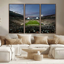 Michigan State Spartans Football Team Print - East Lansing