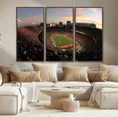 Ohio State University Buckeyes Football Team Print -