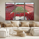 Rutgers Scarlet Knights Football Team Print - Piscataway SHI by MyGreatCanvas | Canvas Wall Art Prints | Photo Prints & Wall Decor