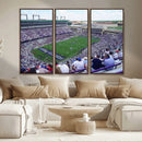 The Texas Christian University TCU Horned Frogs Football