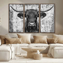 Abstract Longhorn Bull Wall Art Canvas Print - Rustic Texas