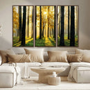 Sunlit Forest Wall Art Canvas Print – Large Framed Woodland