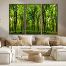 Lush Green Forest Canvas Print | 3-Panel Forest Wall Art | by MyGreatCanvas | Canvas Wall Art Prints | Photo Prints & Wall Decor