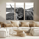Longhorn Steer Canvas Print Wall Art, Highland Cow Canvas by MyGreatCanvas | Canvas Wall Art Prints | Photo Prints & Wall Decor