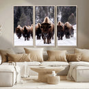 Bison Wall Art Canvas Print- Bison Herd Canvas Wall Art – by MyGreatCanvas | Canvas Wall Art Prints | Photo Prints & Wall Decor