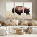 Bison in Field Wall Art Canvas Print For Farmhouse Barn