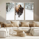 Bison Wall Art Canvas Print For Farmhouse, Animal Canvas