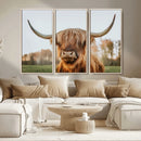 Highland Cow Animal Scottish Cattle Art Print Farmhouse Wall