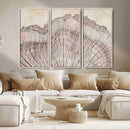 Tree Ring Wall Art Triptych, Rustic Wood Ring Canvas Print,