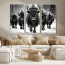 American Bison Art | Buffalo Herd Wall Art Canvas Print, BW