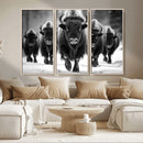 American Bison Art | Buffalo Herd Wall Art Canvas Print, BW