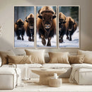 Buffalo Wall Art Canvas Print, American Bison Herd Wall Art by MyGreatCanvas | Canvas Wall Art Prints | Photo Prints & Wall Decor