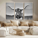 Texas Longhorn Cow Wall Art, Texas Longhorn Canvas, Cattle
