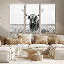 Highland Cow Canvas Wall Art – Majestic Beauty in Black and