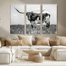 Texas Black White Highland Longhorn Cow Wall Art Canvas by MyGreatCanvas | Canvas Wall Art Prints | Photo Prints & Wall Decor