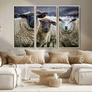Charming Sheep Portrait Wall Art – Trio of Woolly Companions by MyGreatCanvas | Canvas Wall Art Prints | Photo Prints & Wall Decor