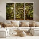 Ancient Angel Oak Tree Art Sunburst Canvas Print-