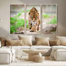 Leopard on the Prowl - Stunning Large Framed Leopard Wall