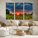 Golden Sunflower Field at Sunset – Breathtaking Sky and
