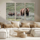 Wildlife Photography of 399 Grizzly Bear Cubs | Queen of the