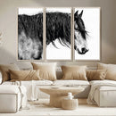 Majestic Horse Wall Art – Framed Black White Portrait Canvas by MyGreatCanvas | Canvas Wall Art Prints | Photo Prints & Wall Decor