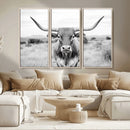 Highland Cow Wall Art Canvas Print – Black and White Western