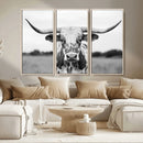 Highland Cow Wall Art Canvas Print – Black and White Western