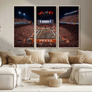 Texas Stadium Night Game Wall Art Canvas Print – Vibrant