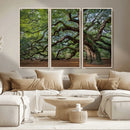Historic Tree Wall Art – Framed Mossy Branch Canvas Artwork, by MyGreatCanvas | Canvas Wall Art Prints | Photo Prints & Wall Decor