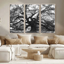 Ancient Oak Wall Art Canvas Print – Gnarled Tree Twisted by MyGreatCanvas | Canvas Wall Art Prints | Photo Prints & Wall Decor