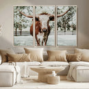 Texas Longhorn Wall Art Canvas Print – Framed Spotted Bull