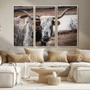 Texas Longhorn Wall Art Canvas Print – Framed Spotted Bull