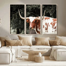 Texas Longhorn Wall Art Canvas Print – Framed Spotted Bull