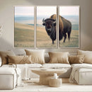 Bison Wall Art Canvas Print – Framed Buffalo American Bison