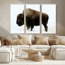Bison Wall Art Canvas Print – Framed Western Wildlife